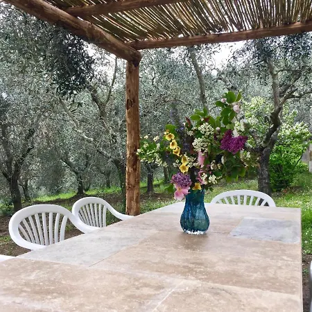 Holiday home Fattoria Celle