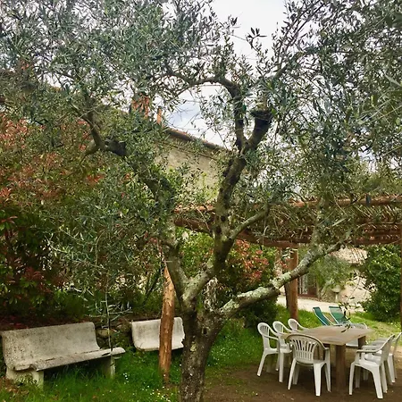 Holiday home Fattoria Celle *