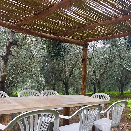 Fattoria Celle Holiday home *